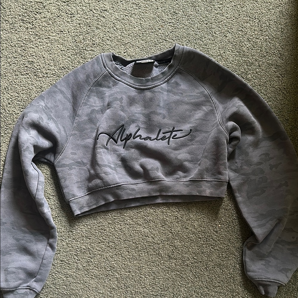 Alphalete Gray Graphic Crop Hoodie
